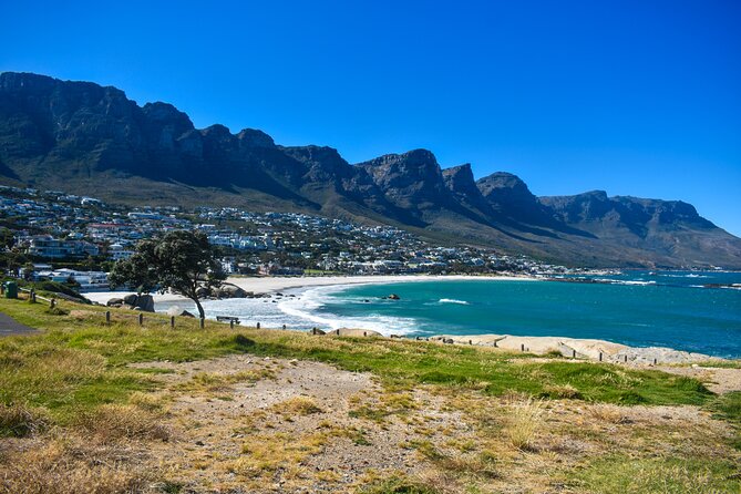 Table Mountain, Boulders Penguins & Cape Point, Private Day Tour - Pickup Locations