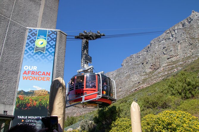 Table Mountain, Boulders Penguins & Cape Point Private Tour From Cape Town - Optional Extras