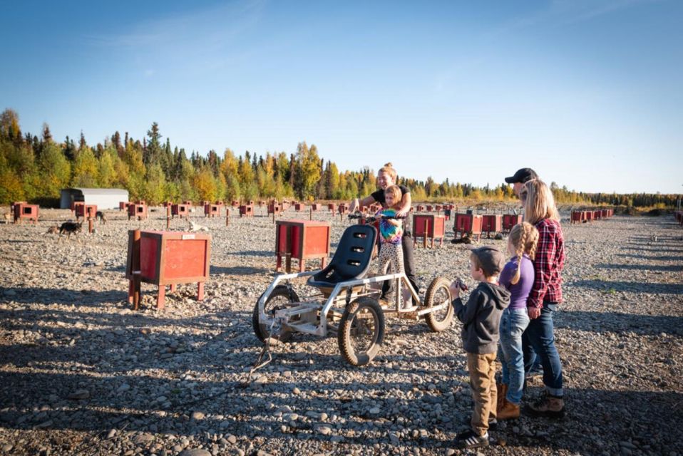 Talkeetna: Mushing Experience With Iditarod Champion Dogs - Iditarod Champion Dogs and Kennel