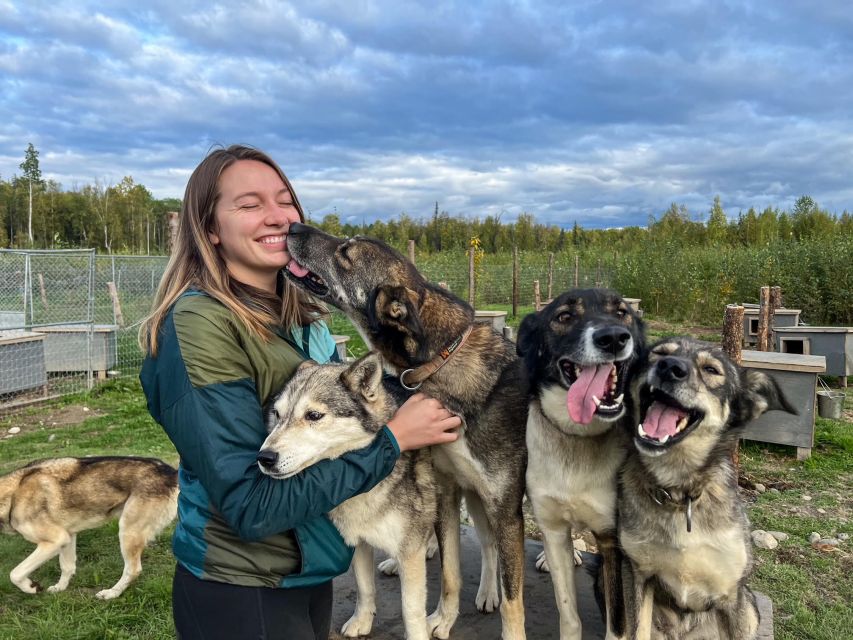 Talkeetna: Summer Sled Dog Kennel Tour - Pricing and Reservation