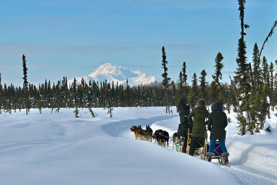 Talkeetna: Winter Dog Sled Tour Morning or Night Mush! - Learning About Sled Dogs