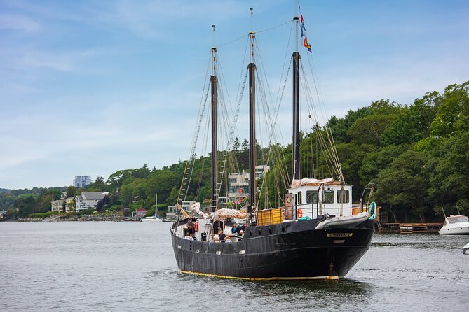 Tall Ship Silva Sailing Cruise - Included Activities