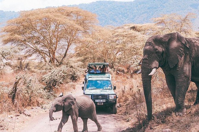 Tarangire & Ngorongoro 2 Days Tour - Included Amenities