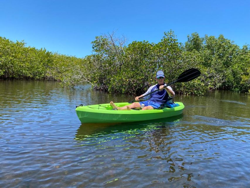 Tarpon Springs: Guided Anclote River Kayaking Tour - Booking and Cancellation