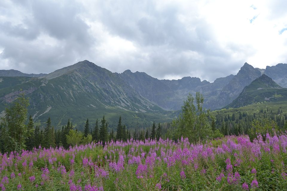 Tatras Mountains: Full-Day Hiking Tour From Krakow - Itinerary Highlights