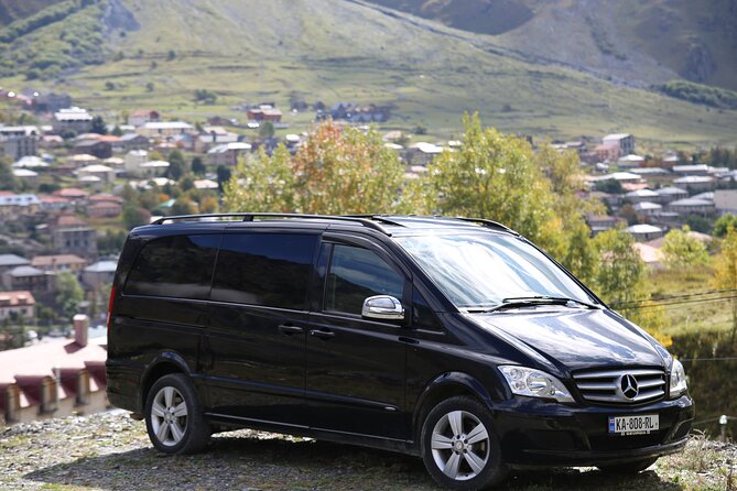 Tbilisi to Batumi and Vice Versa - Private VIP Transfer - Driver Assistance