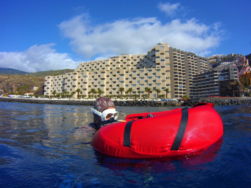 Tenerife: Full-Day of Discovering Freediving - Booking and Availability