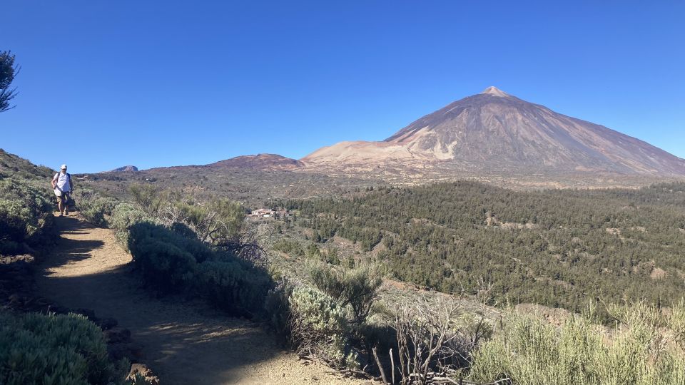 Tenerife: Private Guided Mindful Hike Teide With Transport - Pickup and Drop-off Locations