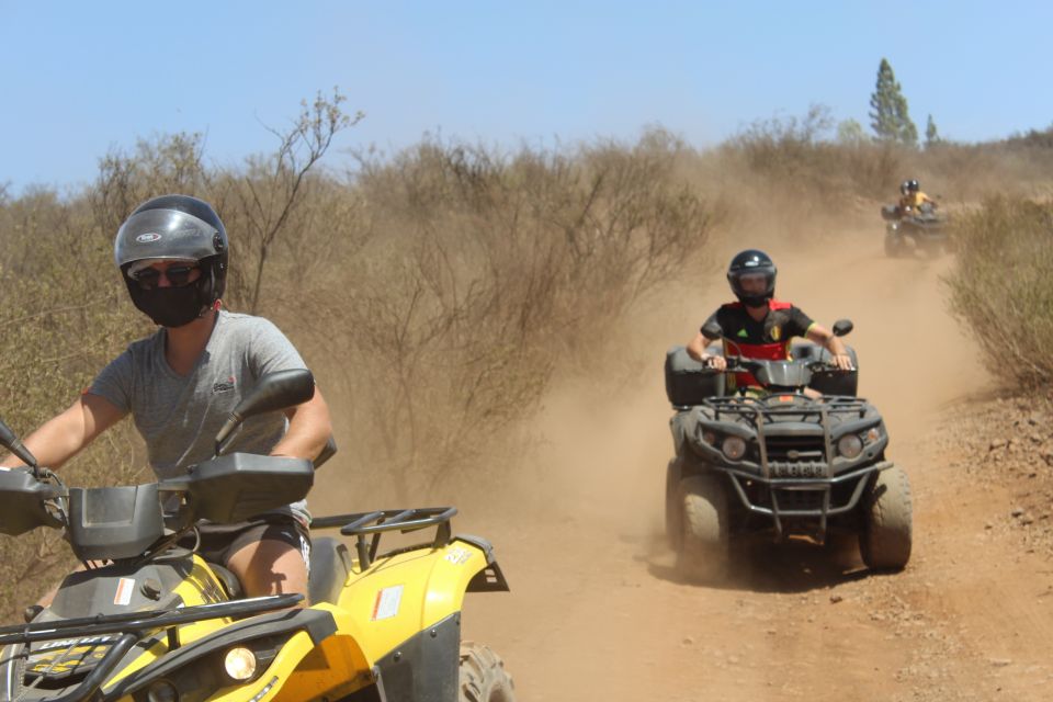 Tenerife: Teide National Park Quad Bike Tour - Experience and Highlights