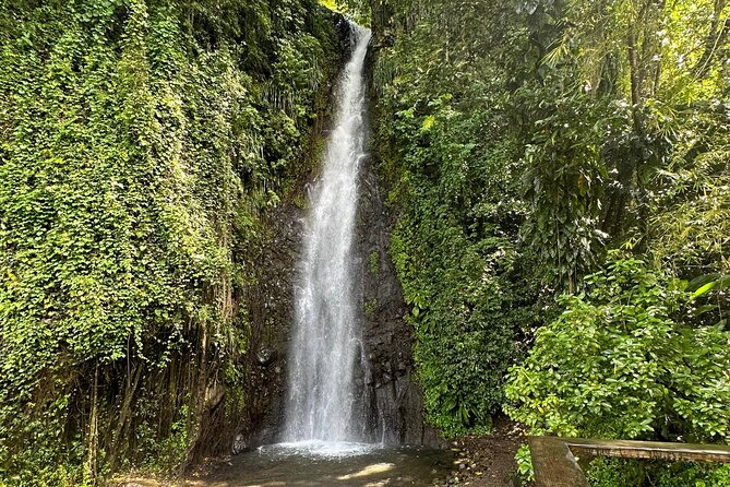 The Cascading Dark View Falls and Beach Experience With Topdawg Taxi and Tours - Refreshing Natural Pool Experience