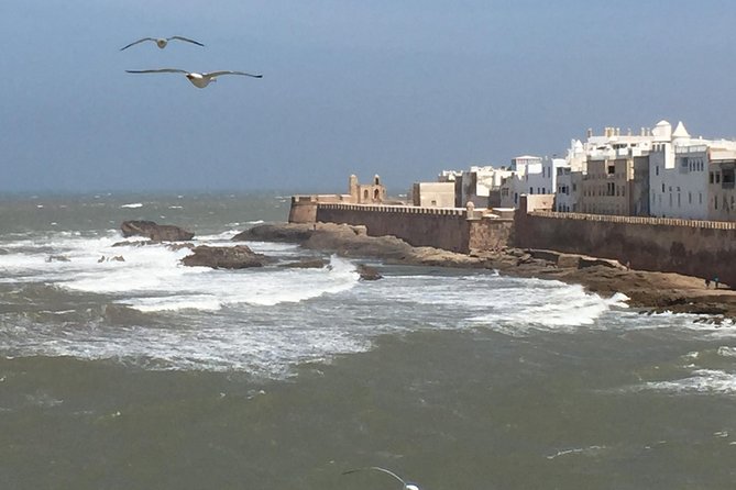 The Charms of Essaouira Mogador and the Argan Tree Forests - Essaouira Highlights