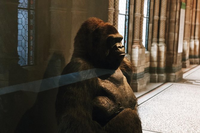 The Natural History Museum London Guided Tour - Semi-Private 8ppl Max - Origins and History of Earth