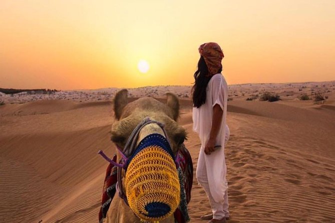 The Red Sand Bashing (RAH Signature Safari) - Bedouin-style Camp Experience