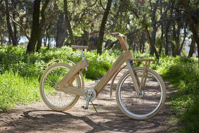 The Wooden Bicycle Tour in Stockholm - Tour Operation