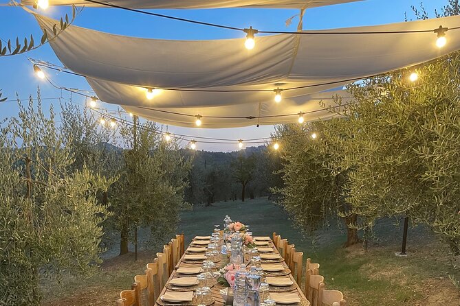 Think of a Romantic Meal in the Olive Trees Shade, Accompanied by Tuscan Wines! - Savoring the Four-Course Menu