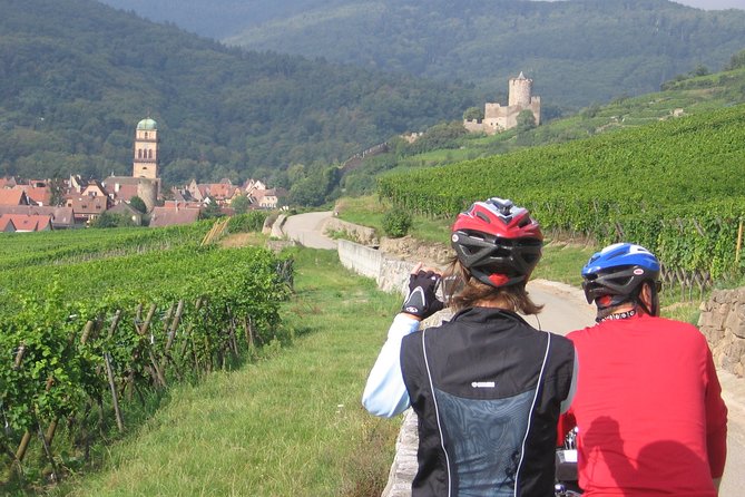 Through Alsace Vineyards and Wine Villages Private Bike Tour - Highlights of the Itinerary