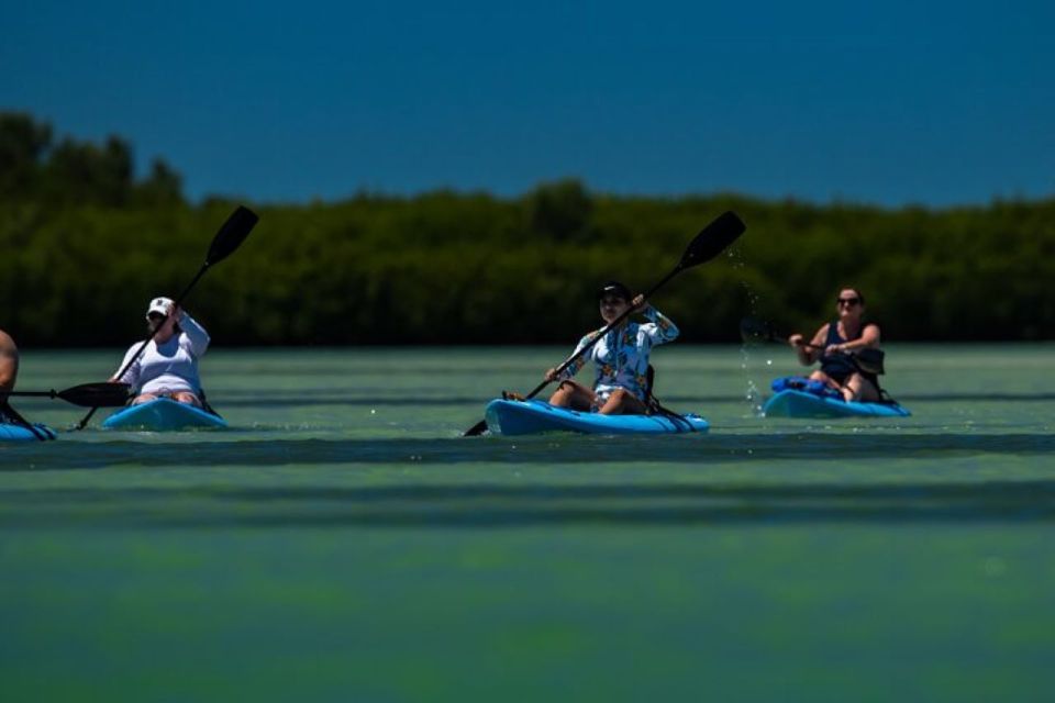 Tierra Verde: Kayak Tour at Shell Key With Capt Yak - Tour Experience