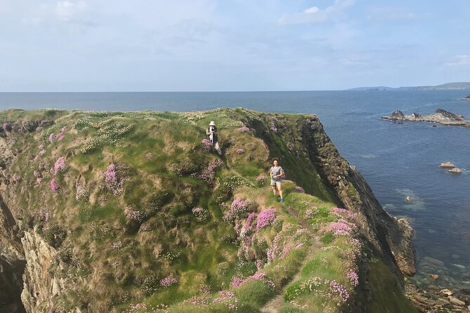 Toe Head Clifftop Hike in West Cork - Meeting and Pickup Details