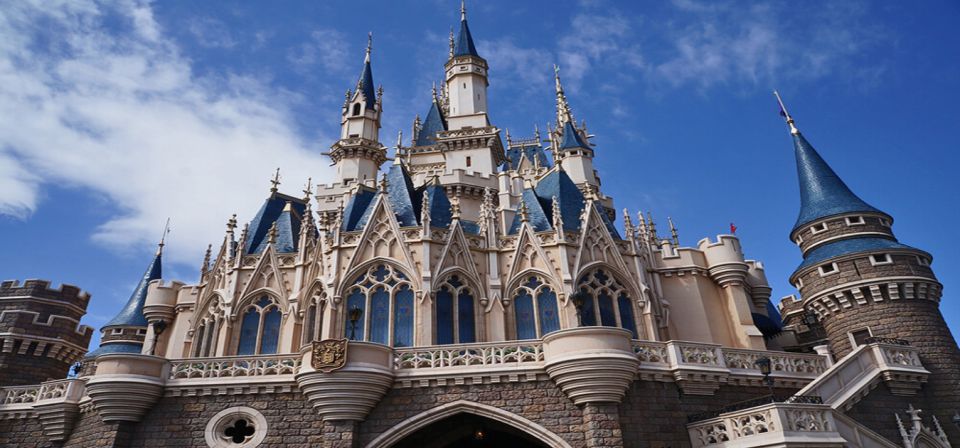 Tokyo Disneyland: 1-Day Entry Ticket and Private Transfer - Cancellation and Refund Policy