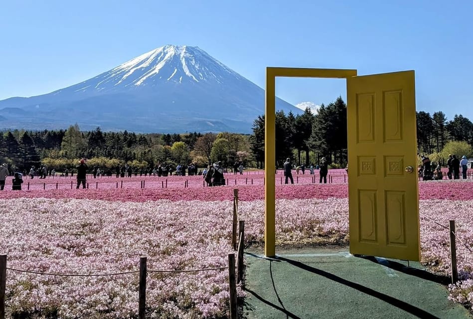 Tokyo: Mount Fuji Customizable Private Tour by Car - Itinerary Highlights