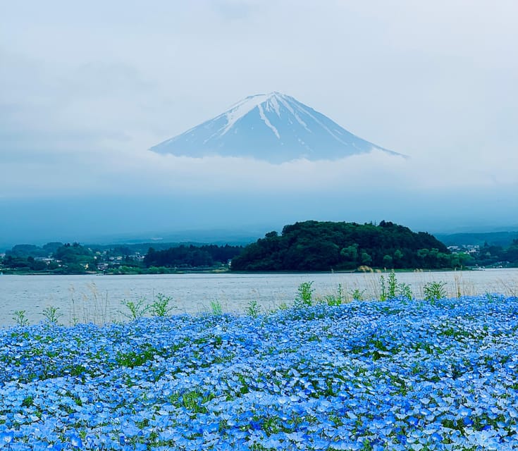 Tokyo: Mount Fuji or Hakone Customized Private Full-Day Trip - Itinerary Highlights