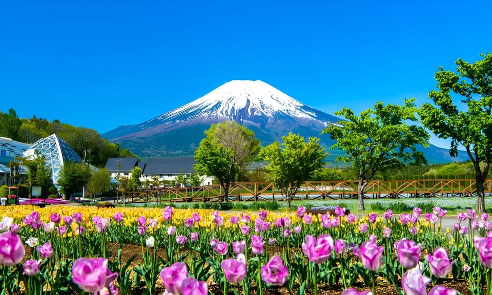 Tokyo: Mt. Fuji Festival, Ropeway, & Fruit Picking Day Trip - Insurance and Suitability