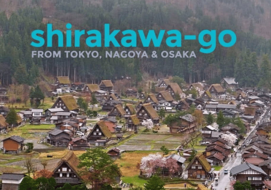 Tokyo: Private Luxury Transfer To/From Shirakawa Go (1 Way) - Scenic Experience