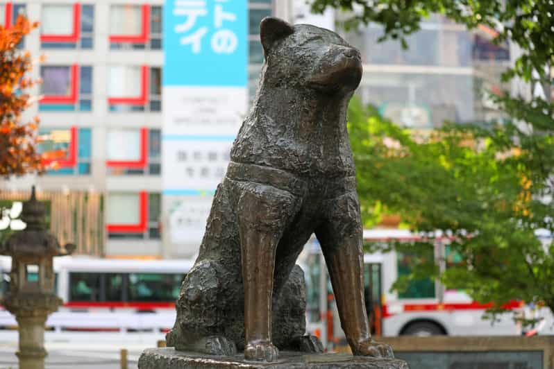 Tokyo: Shibuya Walking Tour With Crossing & Hachiko Statue - Itinerary Highlights