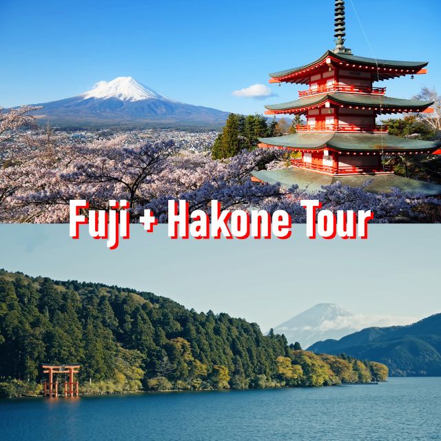 Tokyo to Mount Fuji and Hakone: Private Full-Day Tour - Itinerary Highlights