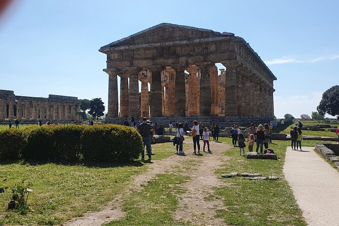 Tour at the Temples and the National Museum of Paestum - Schedule and Availability