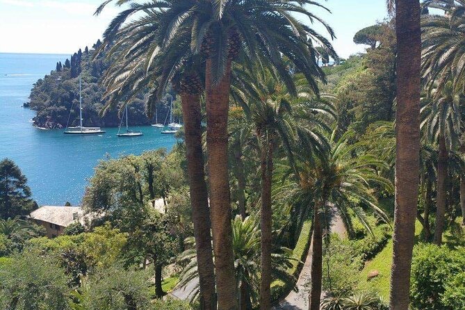 Tour From Genoa to Portofino,Santa Margherita and Camogli - Itinerary and Experience