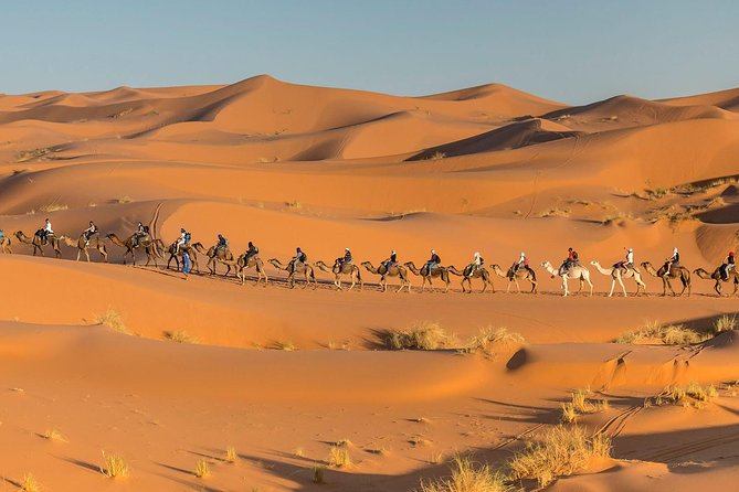 Tour From Marrakech to the Sahara Desert 4 Days - Exclusions