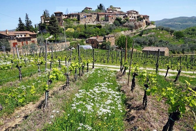 Tour of Chianti for Small Groups Departing From Florence or Surroundings - Lunch and Beverages