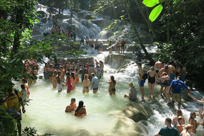 Tour the Natural Beauty of Dunns River Falls From Montego Bay - Meeting and Pickup