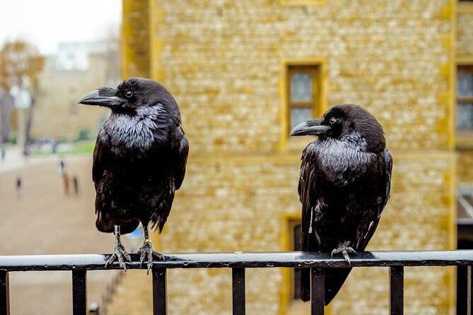 Tower of London Tickets and Jack the Ripper Ghost Tour - Accessibility and Participant Guidelines