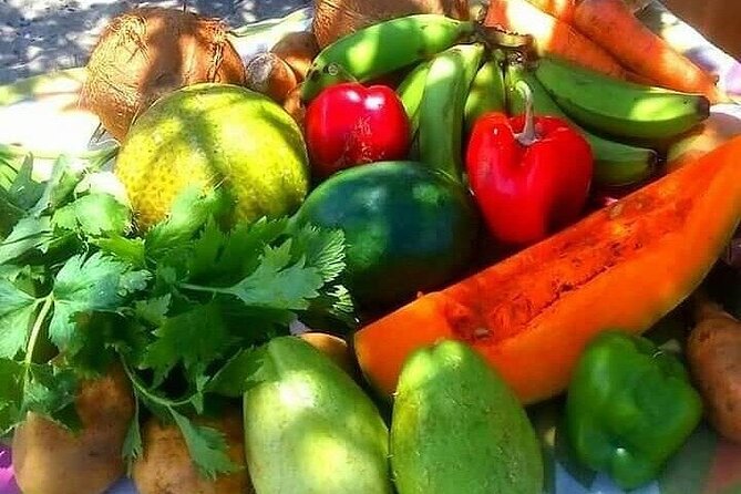 Traditional Rastafarian Ital Food at Pinneys Beach - Schedule and Duration