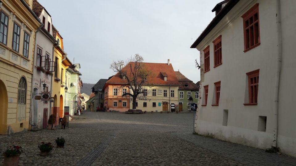 Transylvania: Draculas Castle and Birthplace Tour - Itinerary Highlights