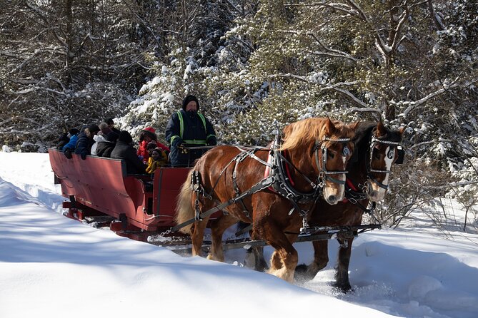 Tremblant Sleighride - Inclusions in the Package