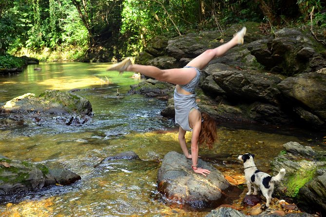 Trinidad Rainforest Hike to Waterfall - Accessibility and Fitness