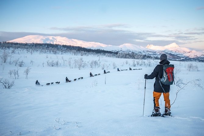 Tromso Guided Snowshoe Trip - Whats Included