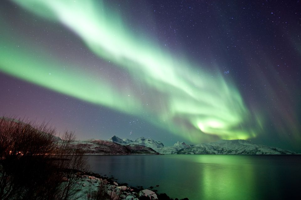 Tromsø: Northern Lights Chase With 2nd Chance Guarantee - Comfortable Cabin and Spacious Viewing Decks