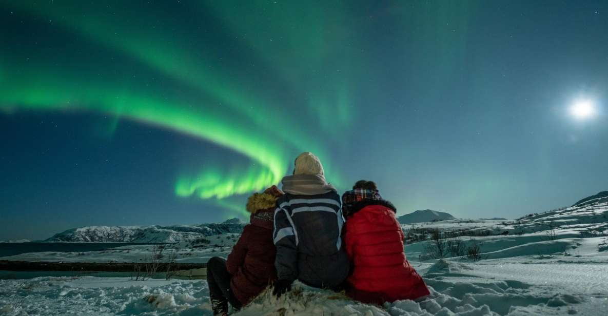 Tromsø: Northern Lights Guided Bus Tour - Highlights of the Tour