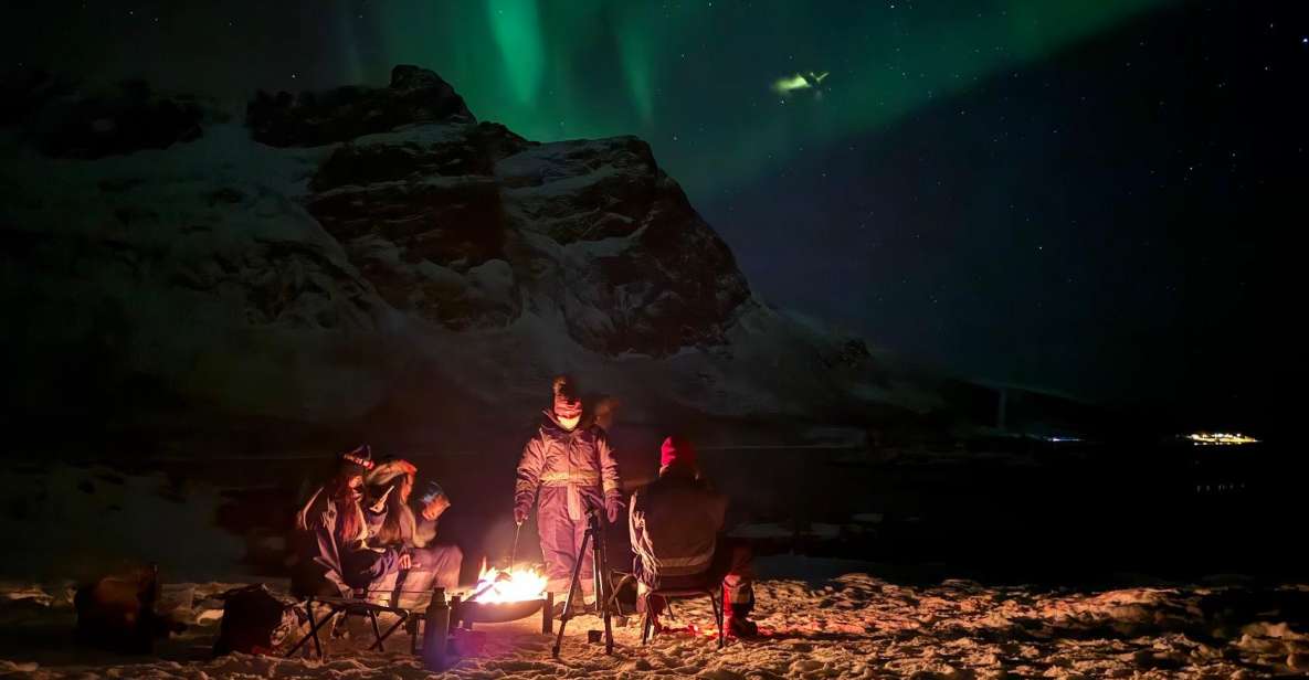 Tromsø: Northern Lights Tour With Hot Food and Drinks - Arctic Scenery Highlights