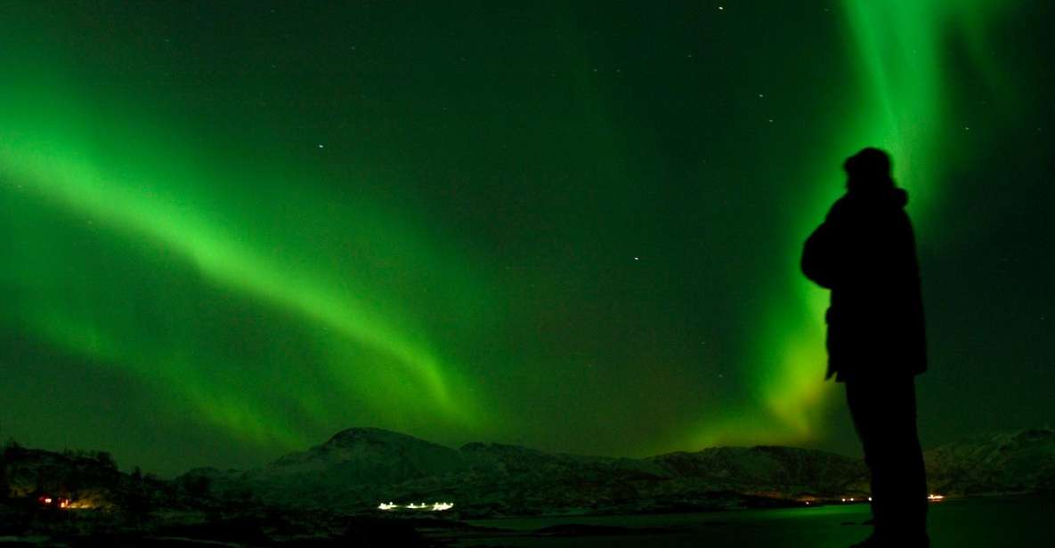 Tromsø: Northern Lights Walking Tour - Highlights of the Experience