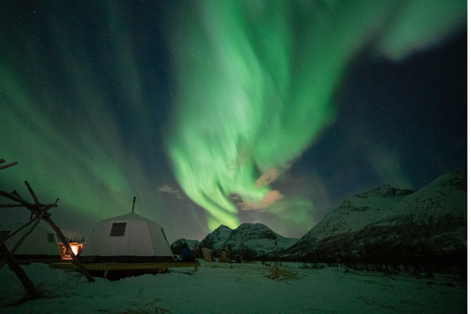 Tromsø: Reindeer Feeding & Chance of Northern Lights Viewing - Inclusions and Exclusions