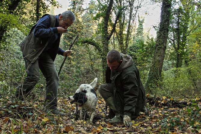 Truffle Hunt & Barolo Wine Tasting - Inclusions and Amenities