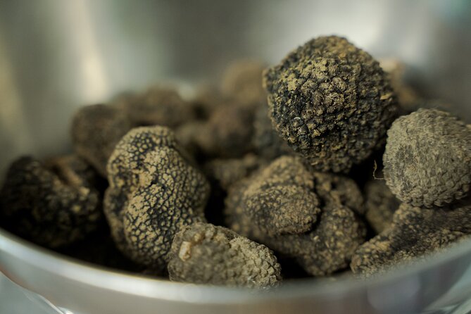 Truffle Hunting + Gourmet Tasting (Transfer Included) - Truffle Hunting Experience