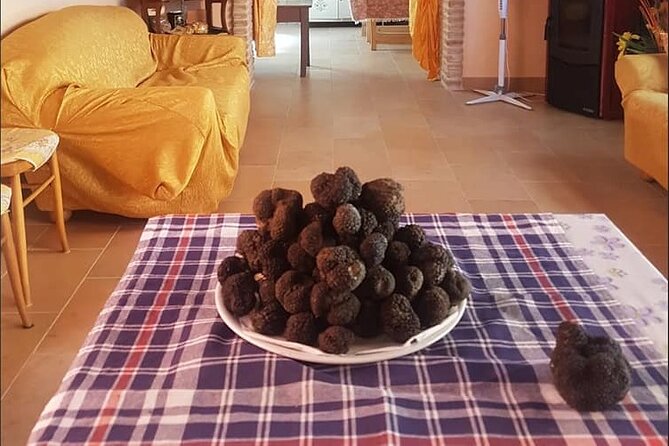 Truffle Hunting With Food Tasting - Health and Accessibility