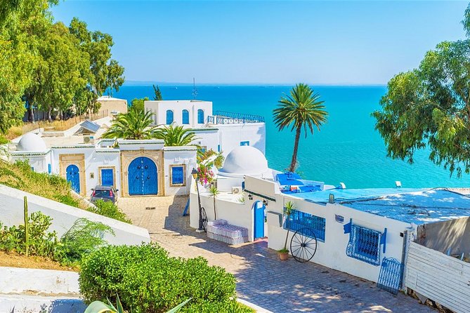 Tunis, Sidi Bousaid and Carthage Day Trip From Hammamet - Pickup and Transportation