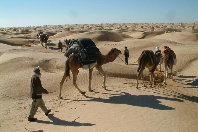 Tunisian Sahara Two-Day Tour From Hammamet - Pickup and Start Time